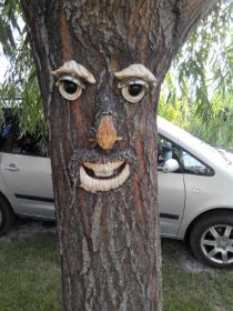 caras para arboles.jpg